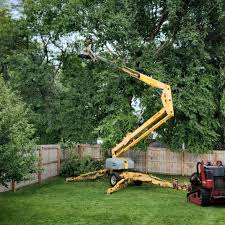 How Our Tree Care Process Works  in  Idabel, OK